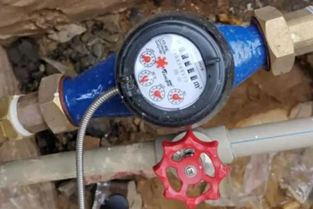 遠傳水表廠家價格區(qū)間，更好了解市場行情！